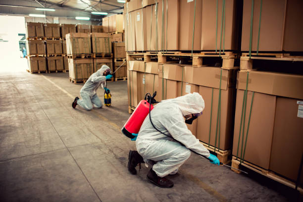 Best Mosquito Control Services  in Cattaraugus, NY