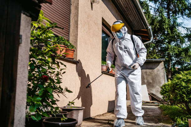 Best Wasp Removal Services  in Cattaraugus, NY