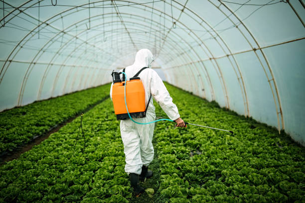 Best Local Pest Control Services  in Cattaraugus, NY
