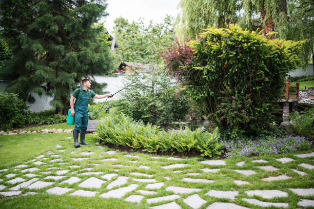 Best Cockroach Control Services  in Cattaraugus, NY