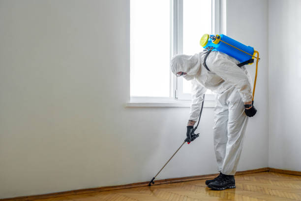 Best Best Pest Control Companies  in Cattaraugus, NY