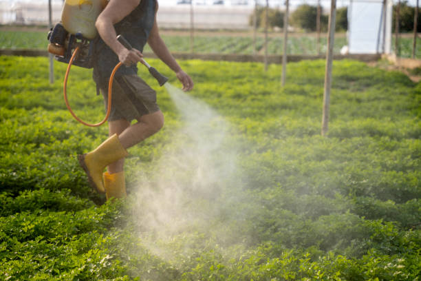 Best Pest Prevention Services  in Cattaraugus, NY