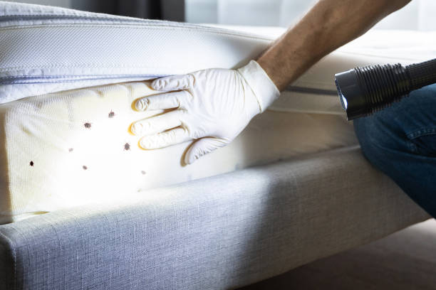 Best Pest Control Near Me  in Cattaraugus, NY