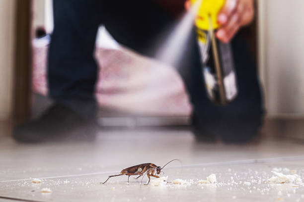Best Rodent Control Near Me  in Cattaraugus, NY
