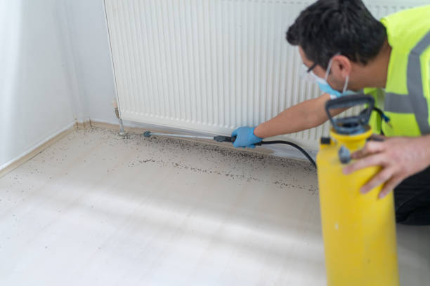 Pest Prevention Services in Cattaraugus, NY