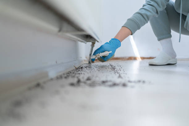 Trusted Cattaraugus, NY Pest Control Experts