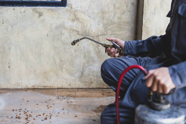 Best Mosquito Control Services  in Cattaraugus, NY